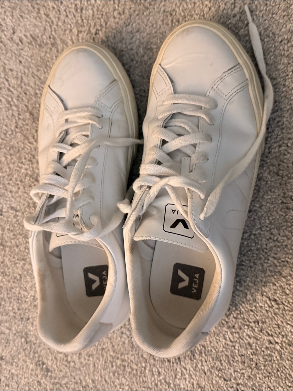 Veja White Low-Top Canvas Sneakers